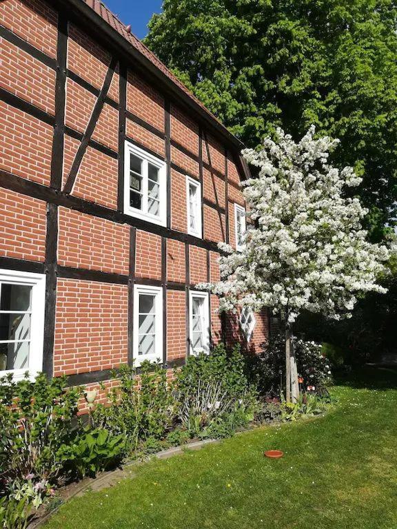 Apartment In Ruhiger Wohnlage Sie Sind In 3 Minuten Am Trebbower See Oder In 30 Minuten An Der Ostsee Klein Trebbow Экстерьер фото